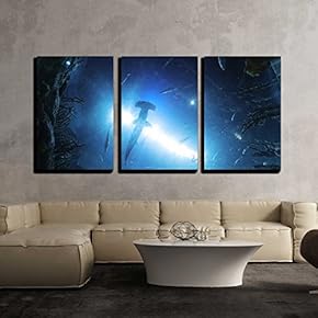 3 Piece Canvas Wall Art - The Marine Life, Ocean Park Hong Kong - Modern Home Art Stretched and Framed Ready to Hang - 16"x24"x3 Panels