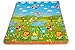 Kids Foldable Play Mat by BMyBaby - Portable Baby Play Mat for Picnic Garden Nature and More - Non-Toxic Waterproof Stain-Resistant