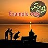 Dimart-500-pcs-10-Day-Luminous-Glow-Beads-Fishing-Lures-Tackle-Accessories-Random-Color