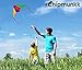 Easy to Fly Large Nylon Delta Kite for Kids and Adults Great for Beach Trip and Outdoor Activities Perfect for Beginners Flies High in Light Breeze Flying String Line Included Big Flyer Childrens Toys