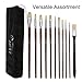 Artify 11 pcs Professional Oil Paint Brush Set, Perfect for Oil Painting, with a Free Metal Carrying Box