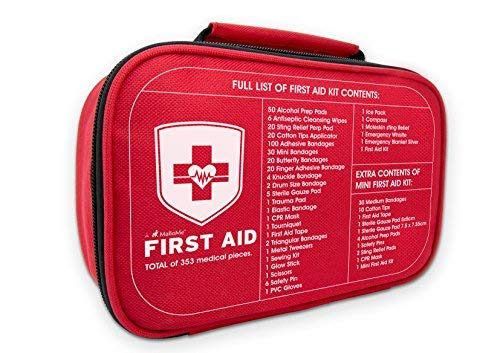 2-in-1 Large First Aid Survival Kit (353-Piece) Camping Gear Accessories for Emergency: Mini Small 52 Bonus Pieces for College Dorm Room Essentials, Car, Home, Baby, Travel, Office & Medical Supplies