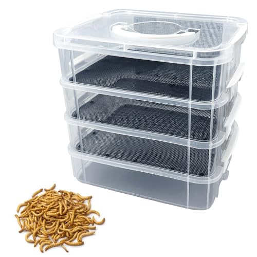 LUKHMELF 4-Layer Mealworm Breeding Kit
