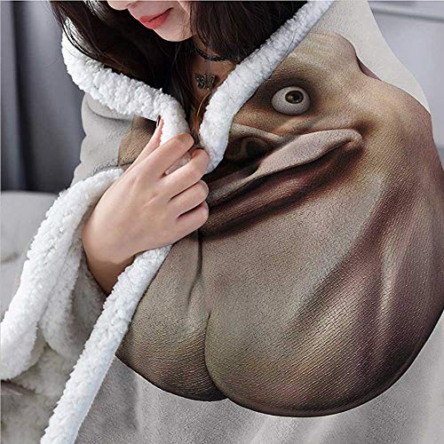 Sunnyhome Humor Blanket Small Quilt 60x47 Inch Awkward Meme Face with Unusual Facial Gesture Ugly Mock Smug Forum Art Design Blanket Pearl and Tan