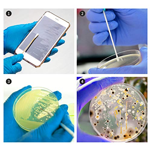 Bacteria Science Kit Petri Dishes with Agar and Swabs Top Science