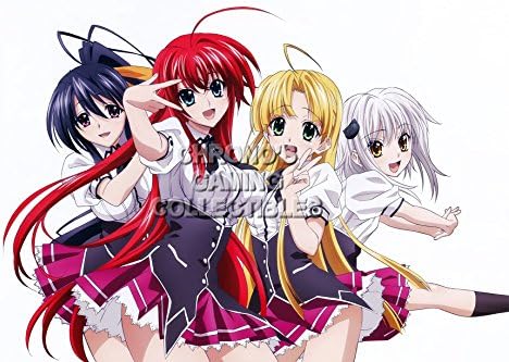 CGC Huge Poster - High School DxD Anime Poster Highschool Haisuk?ru D? D? - HSD003 (16" x 24" (41cm x 61cm))