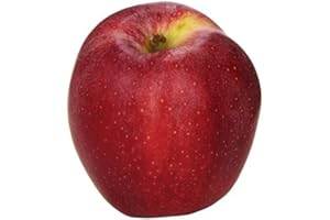 FRESH PRODUCE (BRANDS MAY VARY) Apple Gala, 1 Count