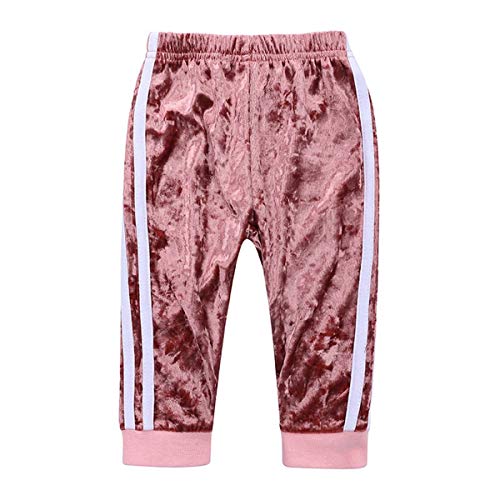 TAOJIAN 2 Pcs Fashion Infant and Toddler Baby Girls Velvet Clothes Outfit Pant Set Casual Outfit (3-4Years, Pink)
