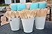 Wooden Disposable Cutlery 300 pc set: 100 Forks, 100 Spoons, 100 Knives, 6