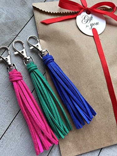Mini Purse Tassel Gift Set - Hot Pink, Blue and Green Shimmer