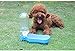 YBHMO Dog Travel Water Bottle, Portable Foldable Water Dispenser Drink Bottle for Outdoors Daily Walks, Run,Hiking, Camping, BPA Free Plastic, 500ml