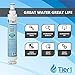 Tier1 4396701 Refrigerator Water Filter | Replacement for Whirlpool EDR6D1, Kenmore 9915, 46-9915, NL120V, L200V, 4396701, 4396702, WF293, EFF-6001A, Fridge Filter