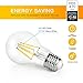 SHINE HAI A19 LED Vintage Filament Bulb, 4W (40W Equivalent), 2700K Warm White, E26 Base, Omnidirectional, Pack of 18