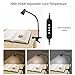 CeSunlight Zoomable Clip on Light, Clamp Reading Light for Dorm Bed Headboard, Dimmable Spotlight with 3 Color Temperature Options, 10 Dimmable Brightness Levels, Adjustable Beam Angle