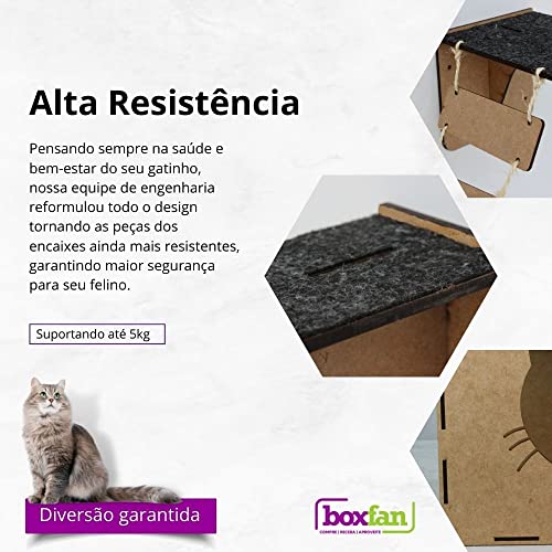 BOXFAN Playground para gatos 14 peças, inclui pontes, nichos, degraus e prateleiras em mdf com carpete antiderrapante, brinquedo e móvel suspenso para gatos