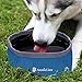 Dog Travel Water Bottle with Collapsible Dog Bowl, 2 in 1 Dog Food Water Storage Container, Leakproof Portable Dog Accessories Water Bowls for Walking Traveling Camping Hiking