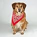 Bandana 3-Pack - Made in USA For 70 Years - Sold by Vets – 100% Cotton –Sewn Edges
