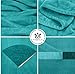 Kingole Flannel Fleece Microfiber Throw Blanket, Luxury Teal Twin Size Lightweight Cozy Couch Bed Super Soft and Warm Plush Solid Color 350GSM (66 x 90 inches)