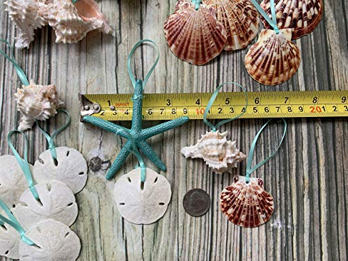 51GqaGkSfhL 51GqaGkSfhL