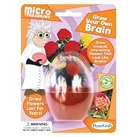 DuneCraft Grow Your Own Brain Science Kit