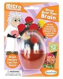 DuneCraft Grow Your Own Brain Science Kit
