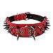 Berry Pet Sharp Spiked Studded Dog Collar - Stylish Leather Dog Collars - 2 Inch in Width Fit for Medium & Large Dogs - Such as Pitbull Mastiff - Black Rivets & Red Leather,17-20