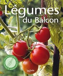 Légumes du balcon