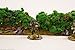War World Gaming Battle Bocage Kit 1-28mm Heroic Scale Wargaming Terrain Model Diorama Scenery Wargame WW2 Tabletop Battle Normandy France WWII Hedgerow