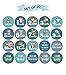 Baby Monthly Milestone Stickers (Set of 20) - Birth to 12 Months + 7 Bonus Achievement Stickers