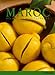 Maroc by 