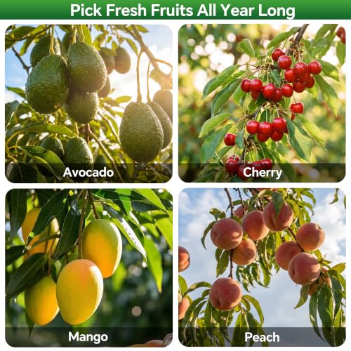Walensee 13FT Fruit Picker Pole with Basket, 35-158 Inch Adjustable Mango Picker Tool, Stainless Steel Telescoping Cherry Picker for Tree, Apple Pear Lemon Orange Avocado Picking