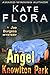 The Angel of Knowlton Park (A Joe Burgess Mystery, Book 2)
