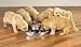 ProSelect Stainless Steel Puppy Dishes — Versatile Dishes for Multiple Puppies, 11