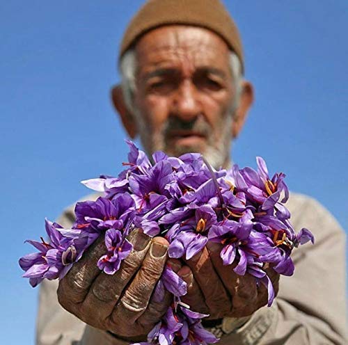 5 Zaran+Saffron+Superior+Threads+Premium