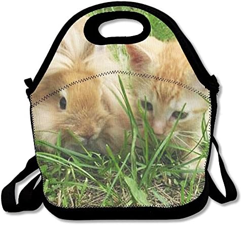 Lightweight Same Color Cat And Rabbit Insulation Lunch Bag Gourmet Warm Bag Handbag Outdoor Travel Picnic Lunch Box Bag Work For School Office Or Outdoor Picnic