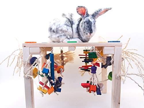 timali pet rabbit toys
