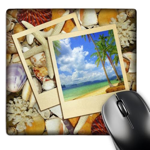 3dRose LLC 8 x 8 x 0.25 Inches Mouse Pad, Tropical Vacation in Frames (mp_41435…