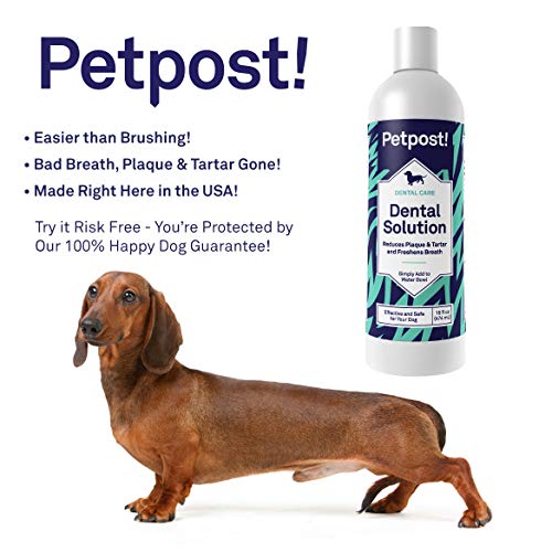 Petpost Dental Solution for Dogs Water Additive That Eliminates Bad