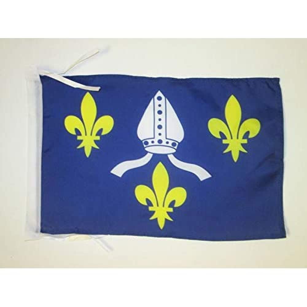 AZ FLAG - French Province of Saintonge Flag - 18'' x 12'' - 100% Polyester County of Saintonge - France Small Banner with Two Cords - Fade Resistant - Vivid Colors - 18x12 in - 45x30 Cm — image 1