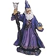 StealStreet SS-G-71155 Wizard Magician Collectible Fantasy Decoration Figurine Statue Model