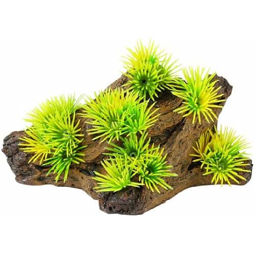 slate rock for aquariums