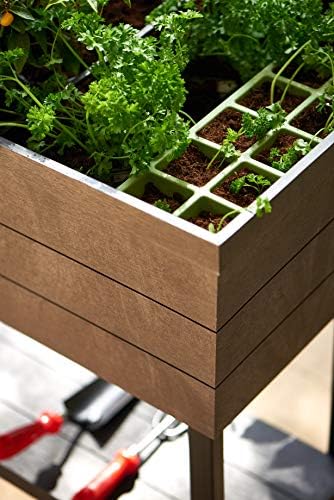 Keter - Mini huerto en casa Urban Bloomer con base para cultivo ...