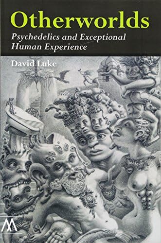 Otherworlds: Psychedelics and Exceptional Human Experience (Muswell Hill Press)