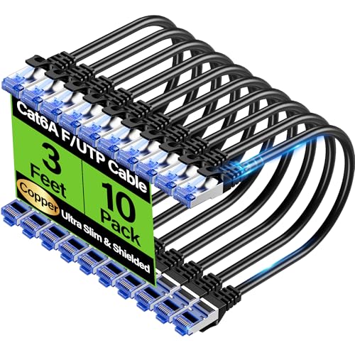 Shielded Cat6A Ethernet Cable 3 ft