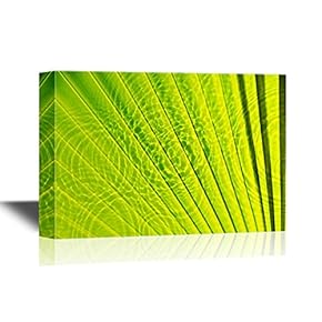 Canvas Wall Art - Texture of Green Palm Leaf Pattern - Gallery Wrap Modern Home Art | Ready to Hang - 12x18 inches