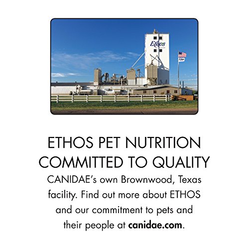 CANIDAE Grain Free PURE Elements Cat Dry Formula with Fresh Chicken, 10 lbs