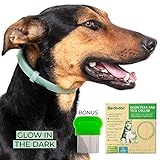 MEDODOR Flea and Tick Collar for Small and Large Dogs | 8-Month Tick and Flea Control for Dogs 100% Natural Ingredients | Glow in The Dark Waterproof & Long Lasting (1PK)