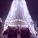 DLIUZ UL Safe 304 LED 9.8FT Linkable Curtain Lights Icicle Lights Fairy String Lights with 8 Modes for Christmas Wedding Party Family Patio Lawn Decoration (White)