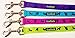 EcoBark Dog Leash - Soft & Reflective Comfort Leashes with Padded Handle - Safe, Strong, & Durable for Small, Medium or Large Dogs (Green)