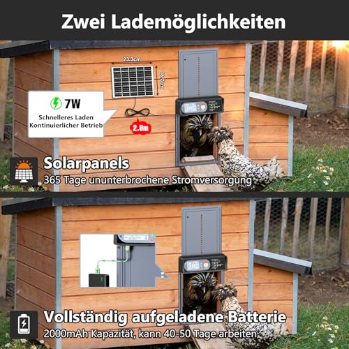 CHAMUTY Automatic Chicken Flap Solar Aluminium Electric Chicken Flap Automatic with LED Display, Light Sensor, Timer, Remote Control, Chicken Coop Door, Grey